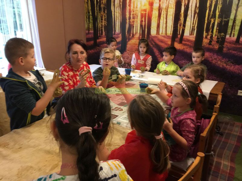 hlina zs okruzna michalovce