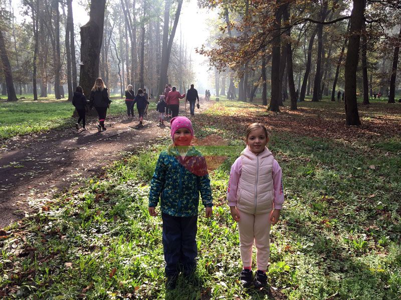 sadenie v mestskom parku